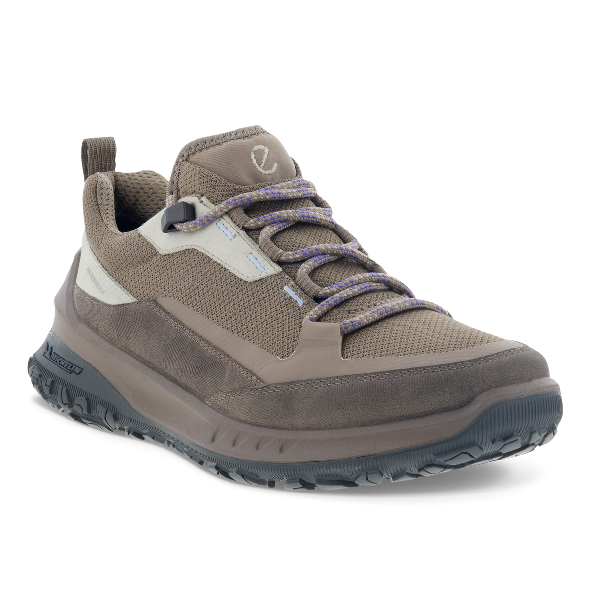 ECCO Fast Trail GTX Walking
