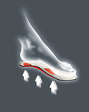 Pedag Viva Sneaker Full Length Insole
