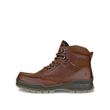 Ecco Track 25 High GTX