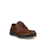 Ecco Track 25 Low GTX