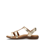 Taos Trophy 2