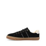 Taos Star 2.0