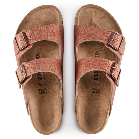 Tasman horween online