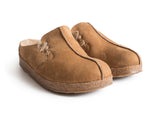 Haflinger Saskatchewan in Tan